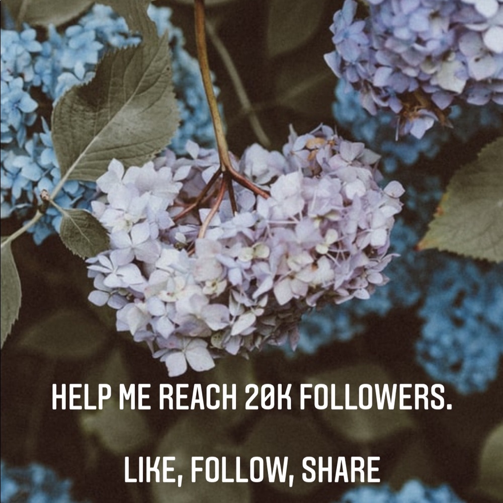 My First Follow Game